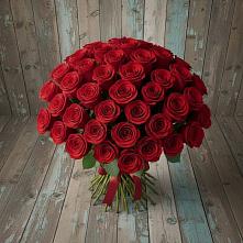 Букет 55 Красных роз Фридом #REPLACE_PRED# Поселок Памяти 13 Борцов