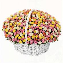 Премиум букет из: Розы в Поселок Памяти 13 Борцов