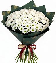 Букет цветов из:  Хризантемы в Поселок Памяти 13 Борцов