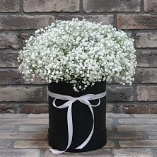 Цветочная композиция из Гипсофила в шляпной коробке в Поселок Памяти 13 Борцов