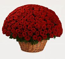 Премиум букет из: Розы в Поселок Памяти 13 Борцов